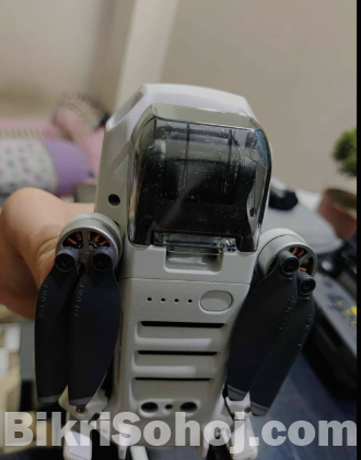 Mavic mini